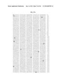 NOVEL FUSION MOLECULES AND USES THEREOF diagram and image