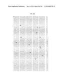 NOVEL FUSION MOLECULES AND USES THEREOF diagram and image