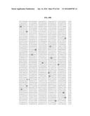 NOVEL FUSION MOLECULES AND USES THEREOF diagram and image