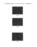 Anti-p40 Antibodies Systems and Methods diagram and image