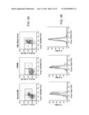 Methods For Manipulating Phagocytosis Mediated By CD47 diagram and image