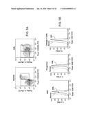 Methods For Manipulating Phagocytosis Mediated By CD47 diagram and image