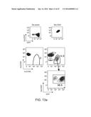 Methods For Manipulating Phagocytosis Mediated By CD47 diagram and image