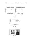 Methods For Manipulating Phagocytosis Mediated By CD47 diagram and image