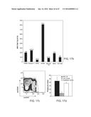 Methods For Manipulating Phagocytosis Mediated By CD47 diagram and image