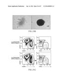 Methods For Manipulating Phagocytosis Mediated By CD47 diagram and image