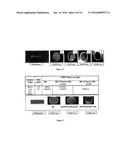 NOVEL NANOPARTICLE-CONTAINING DRILLING FLUIDS TO MITIGATE FLUID LOSS diagram and image