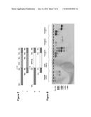 Fractionation of Oil-Bearing Microbial Biomass diagram and image