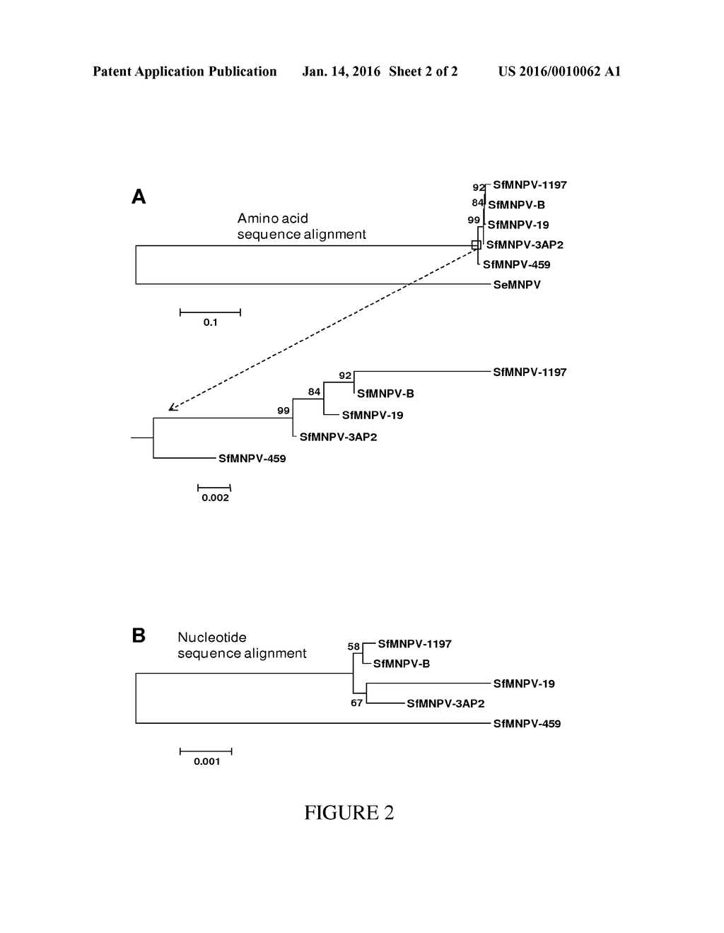 Isolated Spodoptera Frugiperda Multiple Nucleopolyhedroviruses and Methods     for Killing Insects - diagram, schematic, and image 03