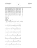 T7 RNA POLYMERASE VARIANTS WITH CYSTEINE-SERINE SUBSTITUTIONS diagram and image