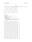 T7 RNA POLYMERASE VARIANTS WITH CYSTEINE-SERINE SUBSTITUTIONS diagram and image