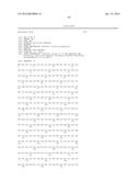 T7 RNA POLYMERASE VARIANTS WITH CYSTEINE-SERINE SUBSTITUTIONS diagram and image