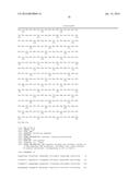 T7 RNA POLYMERASE VARIANTS WITH CYSTEINE-SERINE SUBSTITUTIONS diagram and image