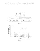 RNA-Guided Targeting of Genetic and Epigenomic Regulatory Proteins to     Specific Genomic Loci diagram and image