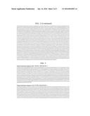 TREATMENT OF TRISTETRAPROLINE (TTP) RELATED DISEASES BY INHIBITION OF     NATURAL ANTISENSE TRANSCRIPT TO TTP diagram and image