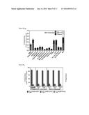 CYTOMEGALOVIRUS VECTORS ENABLING CONTROL OF T CELL TARGETING diagram and image