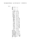 CYTOMEGALOVIRUS VECTORS ENABLING CONTROL OF T CELL TARGETING diagram and image