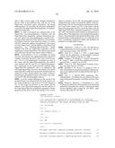 CONSORTIUM AND PREPARATION OF MICROORGANISMS FOR CATALYZING CELLULOSE     HYDROLYSIS, PREPARATION FOR METHANE FERMENTATION SUPPLEMENTATION,     COMBINATION PREPARATION, USE THEREOF AND METHOD USING THE SAME diagram and image