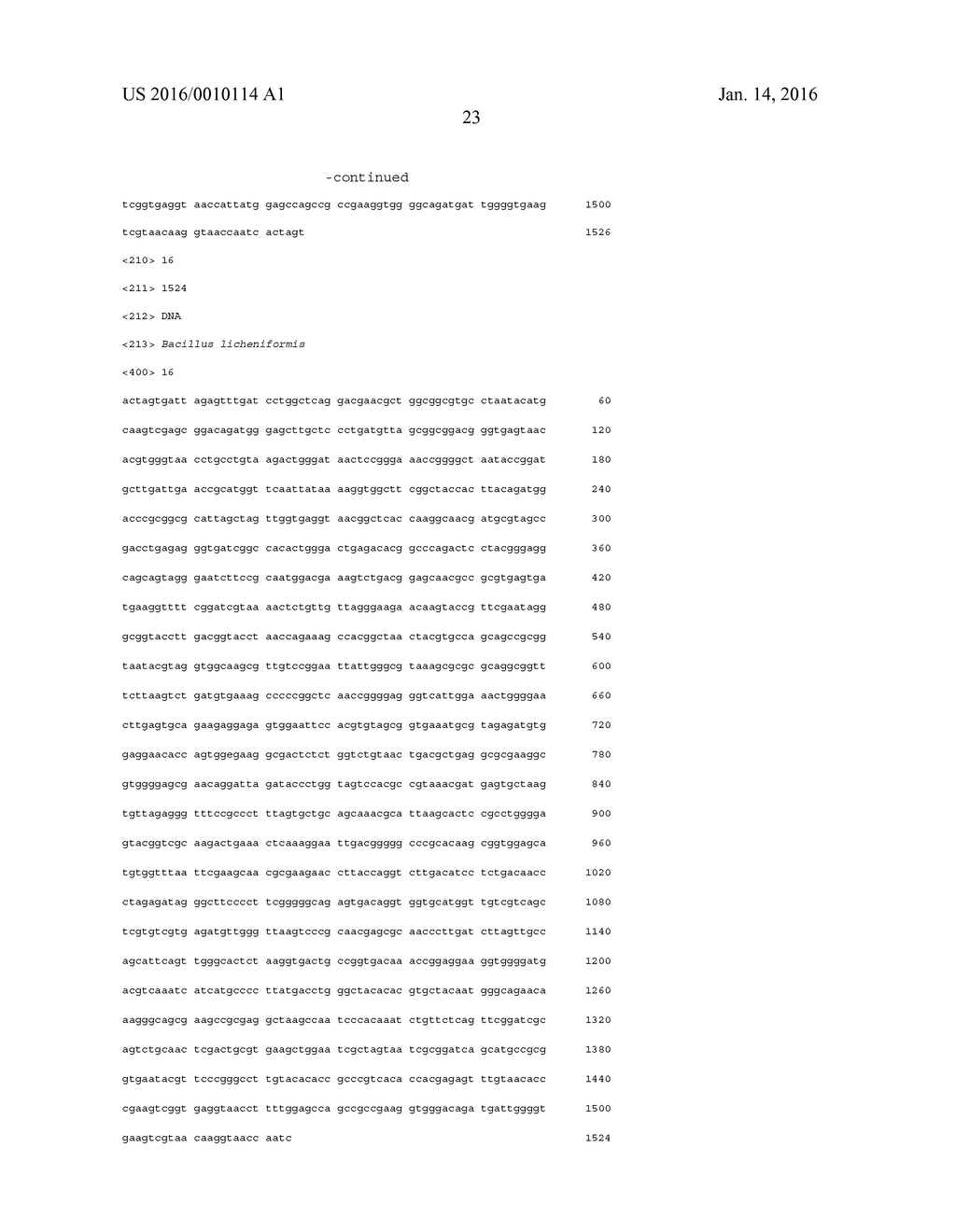 CONSORTIUM AND PREPARATION OF MICROORGANISMS FOR CATALYZING CELLULOSE     HYDROLYSIS, PREPARATION FOR METHANE FERMENTATION SUPPLEMENTATION,     COMBINATION PREPARATION, USE THEREOF AND METHOD USING THE SAME - diagram, schematic, and image 27