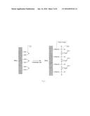 METHOD FOR SPECIFICALLY ISOLATING NUCLEIC ACIDS diagram and image