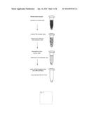 METHOD FOR SPECIFICALLY ISOLATING NUCLEIC ACIDS diagram and image