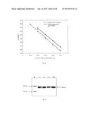 METHOD FOR SPECIFICALLY ISOLATING NUCLEIC ACIDS diagram and image