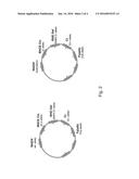 NOVEL COMPOSITIONS, METHODS AND KITS FOR BLOOD TYPING diagram and image