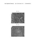 MONOCRYSTALLINE ZIRCONIA WITHOUT LOW-TEMPERATURE DEGRADATION PROPERTIES     AND METHOD FOR GROWING SAME diagram and image