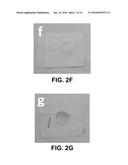 TEXTILE DYEING USING NANOCELLULOSIC FIBERS diagram and image