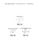 TEXTILE DYEING USING NANOCELLULOSIC FIBERS diagram and image