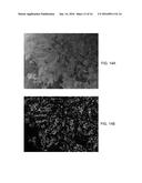 Pure Spectrum Extraction From Biological Samples diagram and image