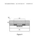 Backside CMOS Compatible BioFET With No Plasma Induced Damage diagram and image