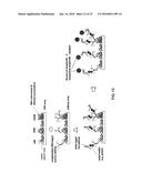 ARRAYS, SUBSTRATES, DEVICES, METHODS AND SYSTEMS FOR DETECTING TARGET     MOLECULES diagram and image