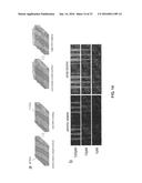 ARRAYS, SUBSTRATES, DEVICES, METHODS AND SYSTEMS FOR DETECTING TARGET     MOLECULES diagram and image