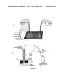 ARRAYS, SUBSTRATES, DEVICES, METHODS AND SYSTEMS FOR DETECTING TARGET     MOLECULES diagram and image