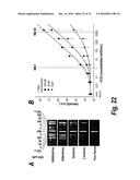 ARRAYS, SUBSTRATES, DEVICES, METHODS AND SYSTEMS FOR DETECTING TARGET     MOLECULES diagram and image