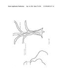 OPTICAL CONFIGURATIONS FOR HEAD-WORN SEE-THROUGH DISPLAYS diagram and image