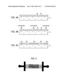 CONDUCTIVE SHEET, MANUFACTURING METHOD OF CONDUCTIVE SHEET, AND TOUCH     PANEL diagram and image