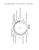 SYSTEMS AND MEHTODS FOR RELIABLY STORING DATA USING LIQUID DISTRIBUTED     STORAGE diagram and image