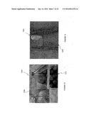 IMAGE ANALYSIS FOR MAKING ANIMAL MEASUREMENTS INCLUDING 3-D IMAGE ANALYSIS diagram and image