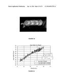 IMAGE ANALYSIS FOR MAKING ANIMAL MEASUREMENTS INCLUDING 3-D IMAGE ANALYSIS diagram and image