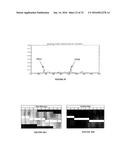 IMAGE ANALYSIS FOR MAKING ANIMAL MEASUREMENTS INCLUDING 3-D IMAGE ANALYSIS diagram and image