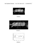 IMAGE ANALYSIS FOR MAKING ANIMAL MEASUREMENTS INCLUDING 3-D IMAGE ANALYSIS diagram and image