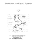 METHOD AND DEVICE FOR RECOGNIZING NON-MOTORIZED ROAD USERS diagram and image