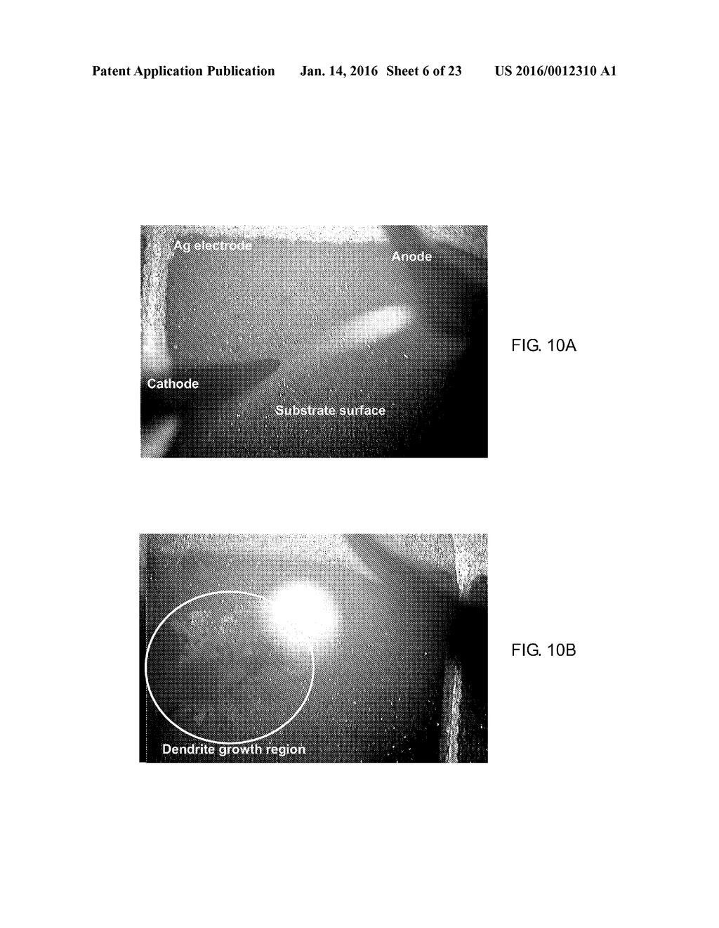 DENDRITIC STRUCTURES AND TAGS - diagram, schematic, and image 07