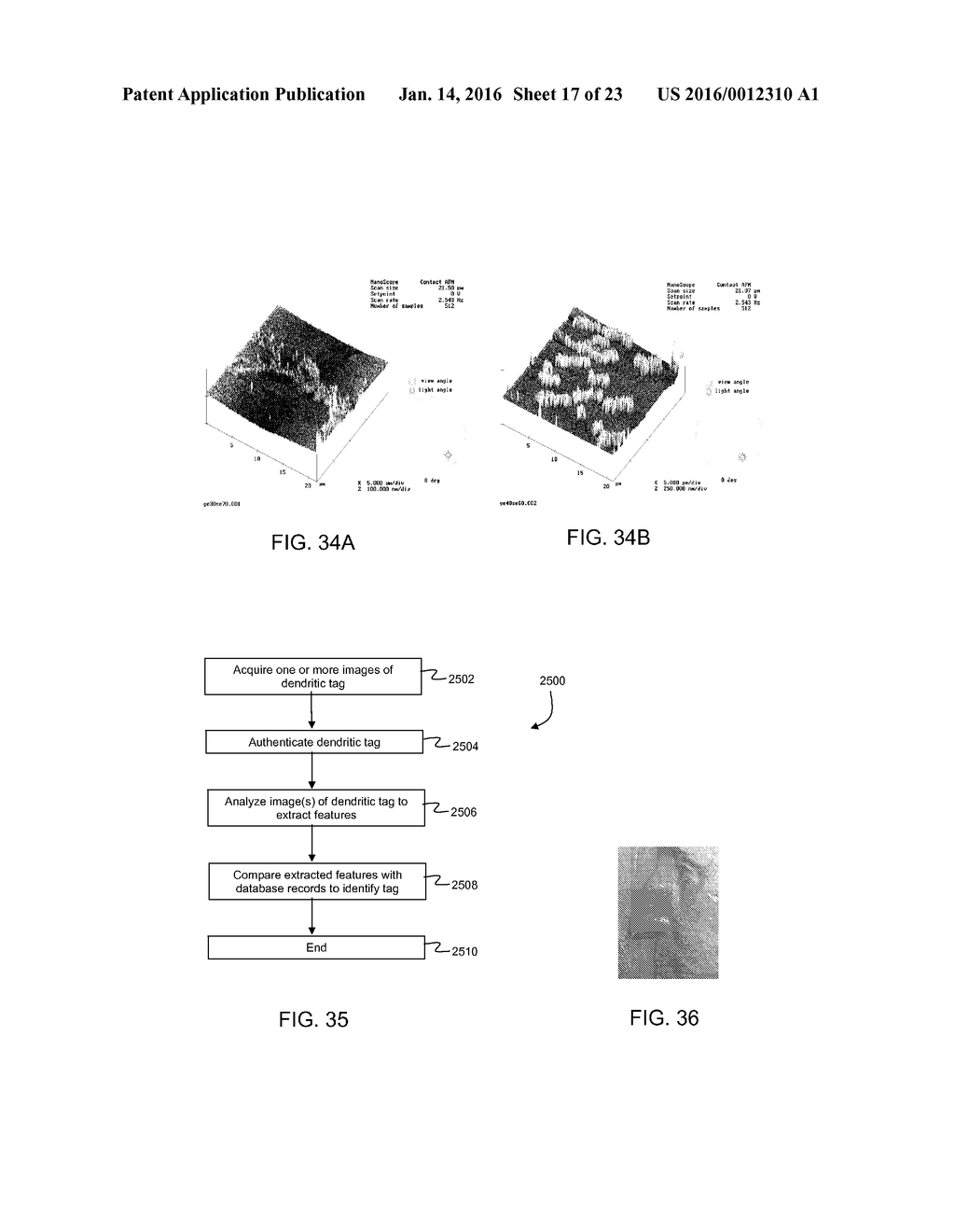 DENDRITIC STRUCTURES AND TAGS - diagram, schematic, and image 18