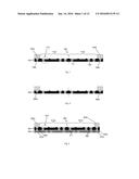 Semiconductor Structure and Method of Fabricating the Same diagram and image