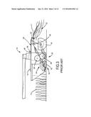 SKID SHOE FOR A HEADER OF AN AGRICULTURAL HARVESTER diagram and image