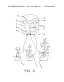 AUTOMATIC WATERING DEVICE diagram and image