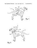 ANIMAL INDICATOR APPARATUS diagram and image